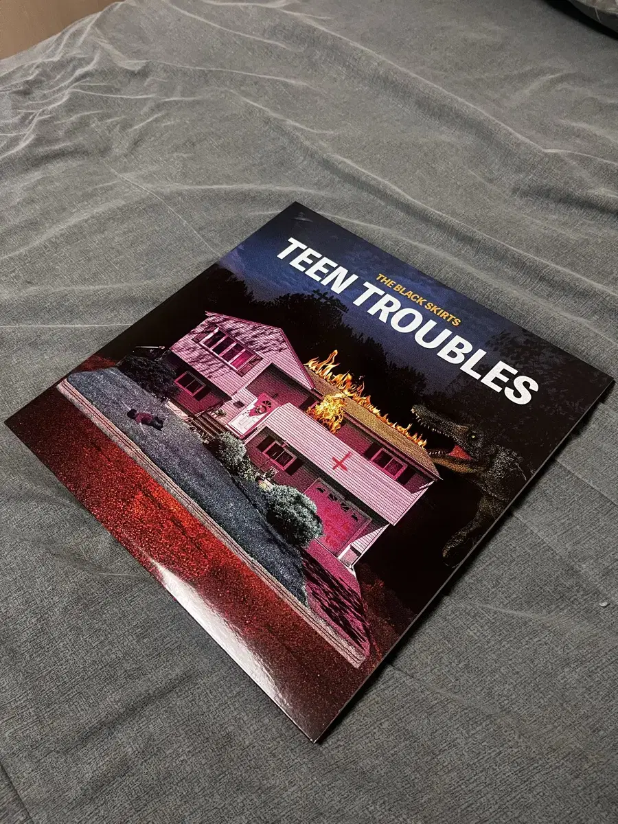 검정치마 teen troubles lp (개봉)